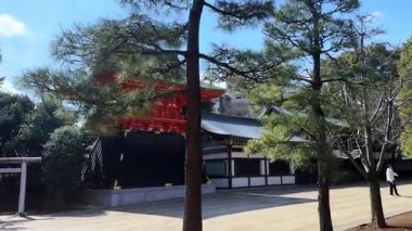 Parkın güzel manzarası