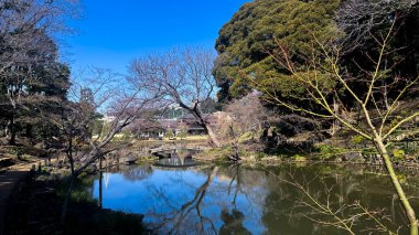 Şehir parkının güzel manzarası