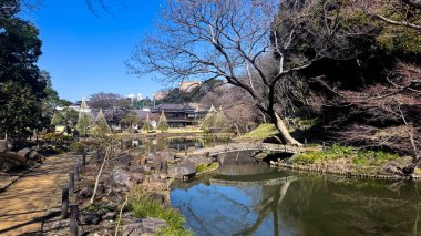 Parkın güzel manzarası