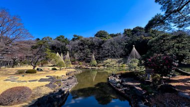 Japon tapınağının parktaki güzel bahçesi.