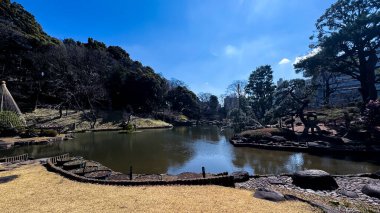 Parkın güzel manzarası