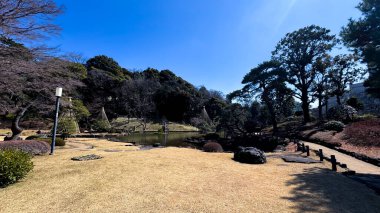 Parkın güzel manzarası