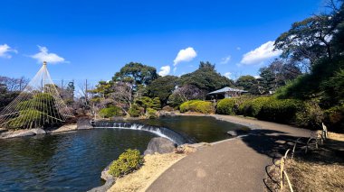 Şelalesi olan güzel bir manzara