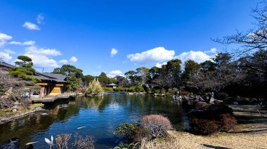 Parktaki gölün güzel manzarası