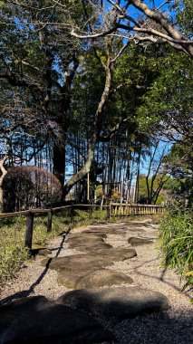 Parkta güzel bir tahta köprü manzarası.