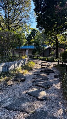 İsrail şehrinin güzel manzaralı parkı.