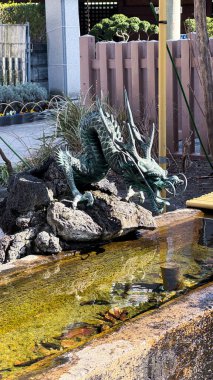 Japon çeşmesi ve koi balığı gölette
