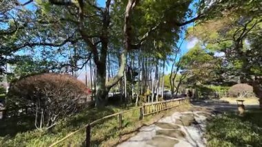 Parkın güzel manzarası