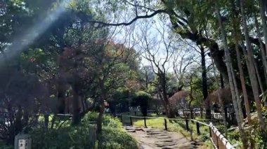 Parkın güzel manzarası