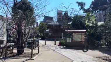 Şehir parkının güzel manzarası