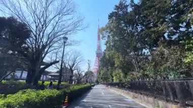 Tokyo, Japonya Kasım 1712 Kimliği belirsiz birçok insan Eno Park 'ta yürüyor ve bahçedeki ağaç bahçesini izliyor..