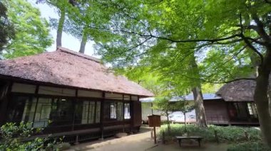 Parkın güzel manzarası