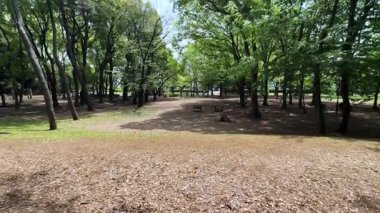 Nehir ve gölü olan güzel bir manzara.