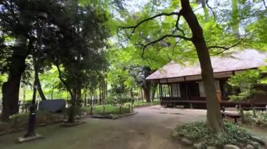 Parktaki güzel bahçe.