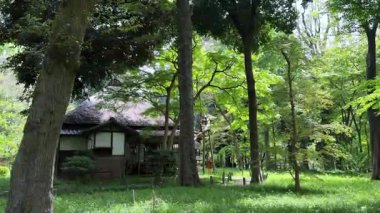 Parkın güzel manzarası