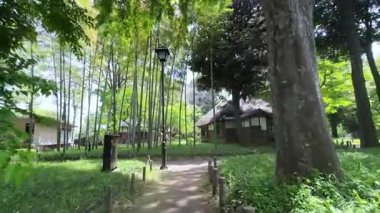 Parkın güzel manzarası