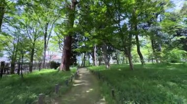 Parkın güzel manzarası