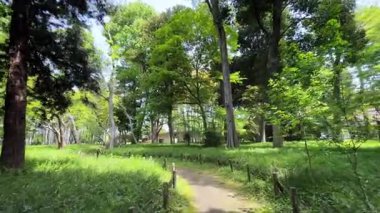 Parkın güzel manzarası