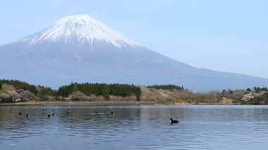 Japonya 'daki güzel Fuji Gölü
