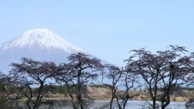 Baharda Fuji Gölü 'nün güzel manzarası.
