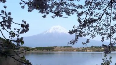 Güzel göl manzarası