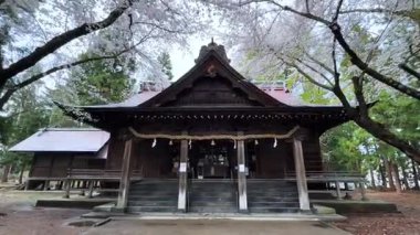 Tayland 'daki kutsal Buda tapınağı.