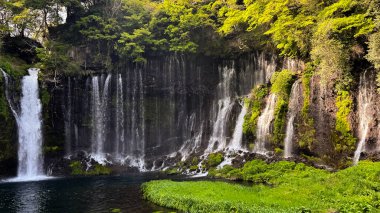Ormanda güzel bir şelale