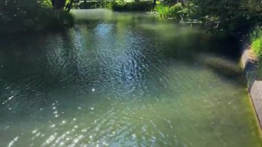 Parktaki nehrin güzel manzarası