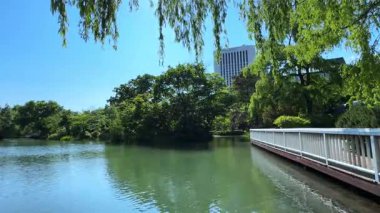 Parkın güzel manzarası