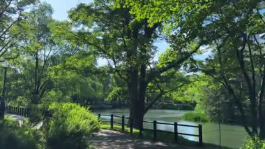 Parkın güzel manzarası