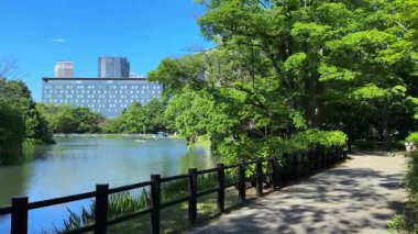 Şehir parkının güzel manzarası