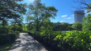 Parkın güzel manzarası