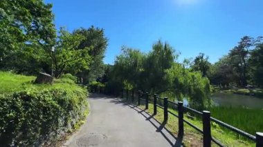 Parkın güzel manzarası