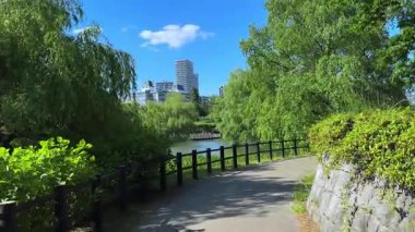 Yazın parkın şehri.