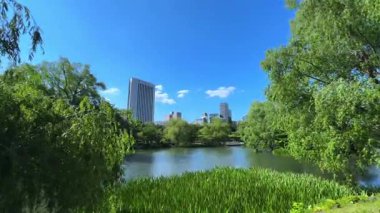 Göllü güzel bir manzara.