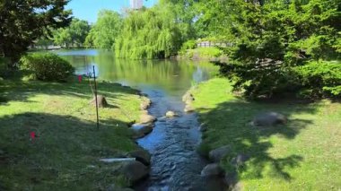 Parkta gölet manzaralı bir göl