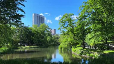 Hollanda 'daki şehir parkı.