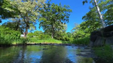 Güzel bir göl ve ağaç manzarası.
