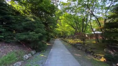 Parkın güzel manzarası