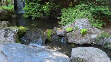 Ormanda güzel bir şelale