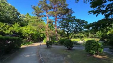 Yazın şehir parkı manzarası