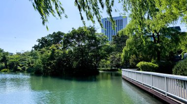 Şehir parkının güzel manzarası