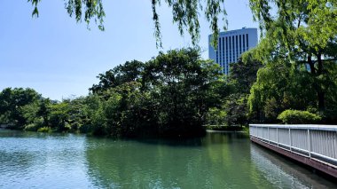 Parkın güzel manzarası