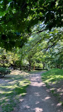 Parkın güzel manzarası