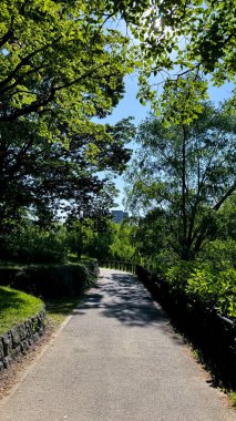 Parkın güzel manzarası