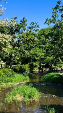 Nehir ve ağaçlarla dolu güzel bir manzara