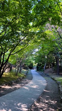 Parktaki manzara çok güzel.
