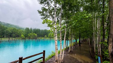 Parktaki güzel göl