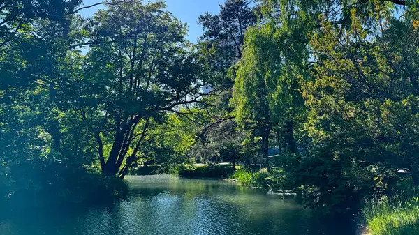Parkın güzel manzarası