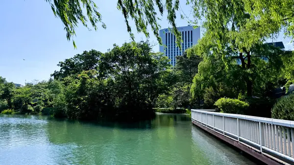 Şehir parkının güzel manzarası